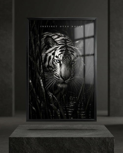 Black and White Tiger Portrait — mockup 1