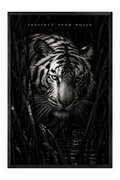 Black and White Tiger Portrait — framed canvas