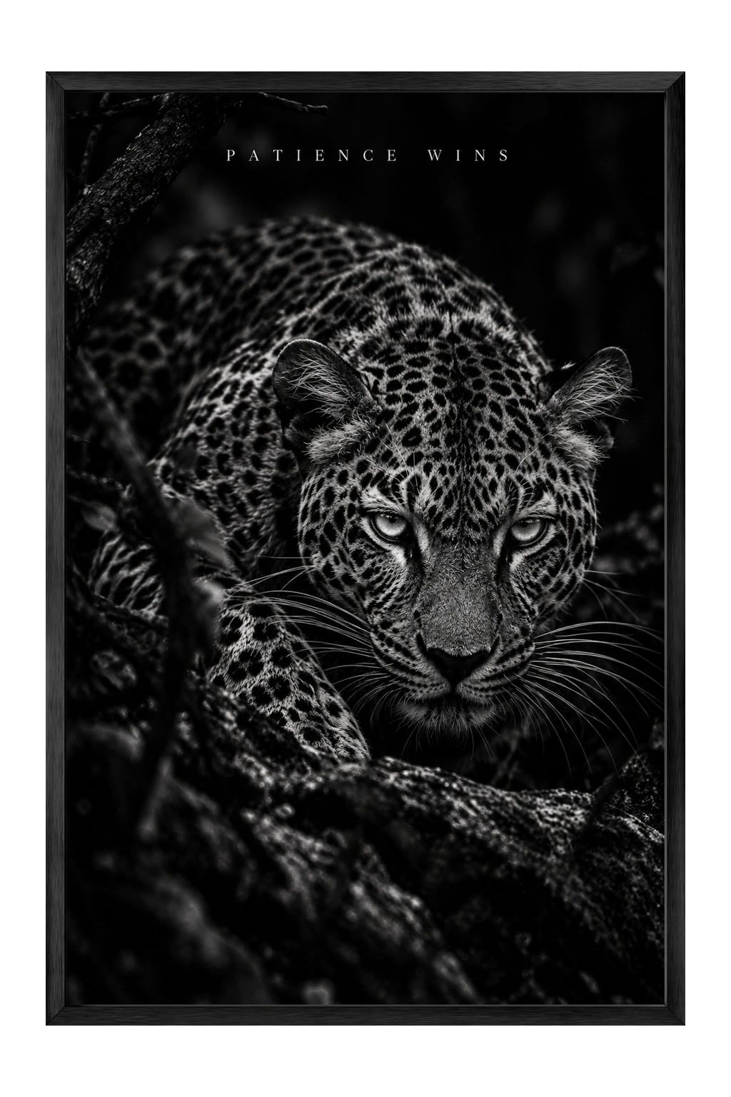 Leopard Stalking Close-Up Photographic Wall Art — framed canvas