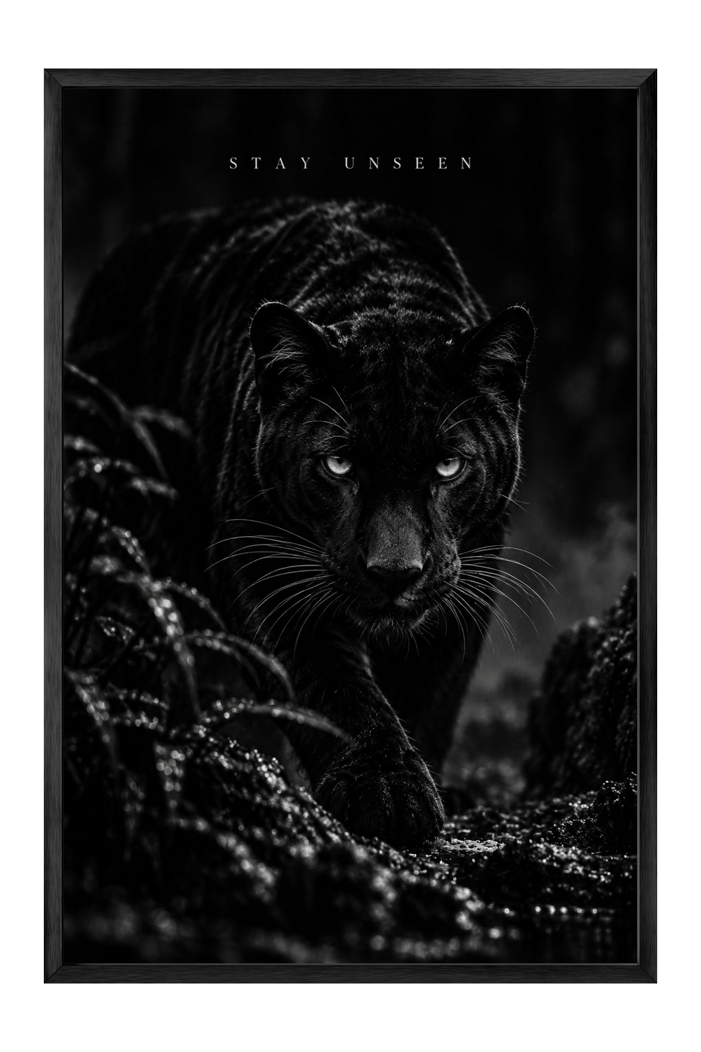 Prowling Black Panther Fine Art Poster — framed canvas