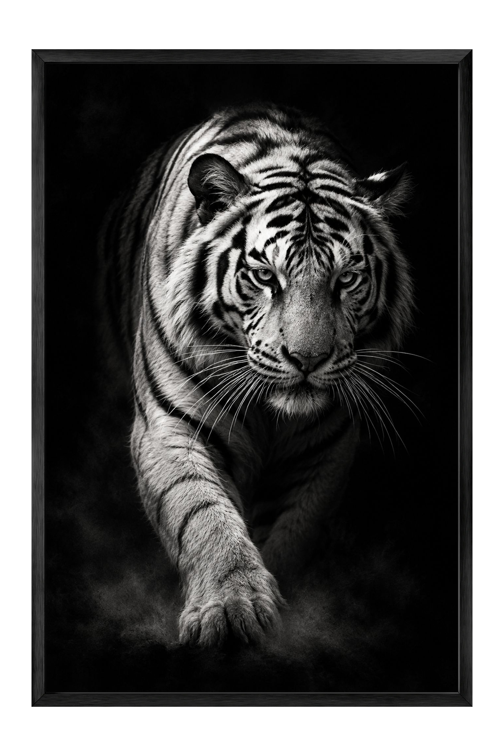 Monochrome Tiger Portrait With Intense Gaze — framed canvas