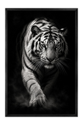 Monochrome Tiger Portrait With Intense Gaze — framed canvas