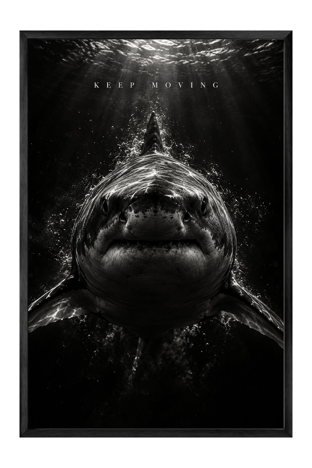 Keep Moving Great White Shark Fine Art Print — framed canvas