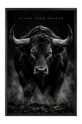 Stand Your Ground Bull Portrait — framed canvas
